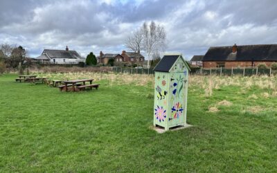 Halton Borough Council Celebrates Green Success with UKSPF Funding