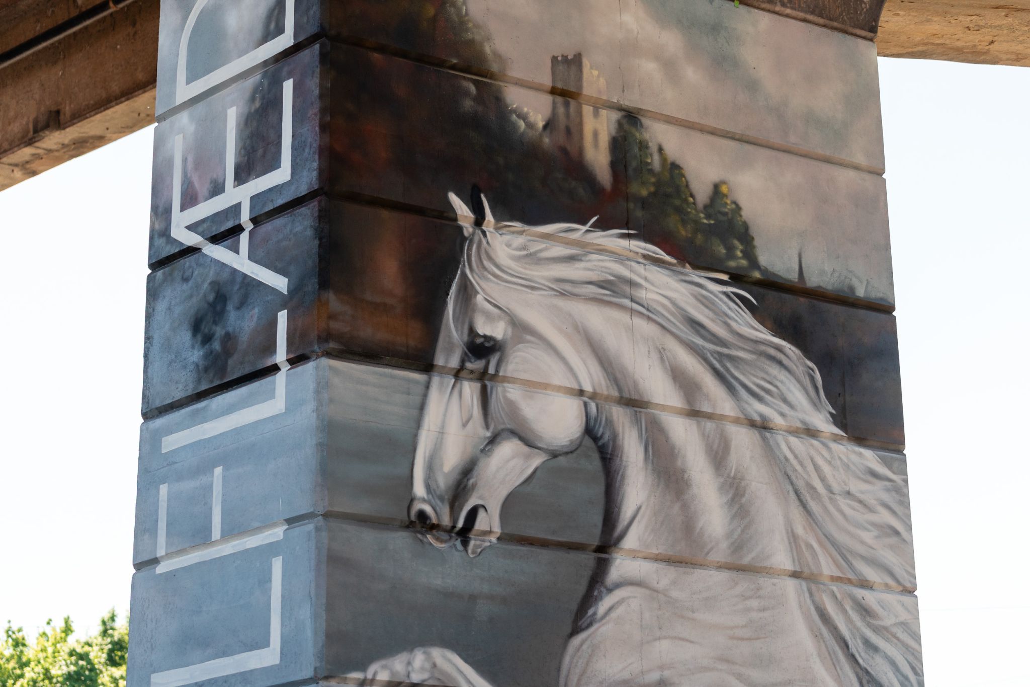 Horse from Aethelflaed the 915 AD _img Lauren A Quayle